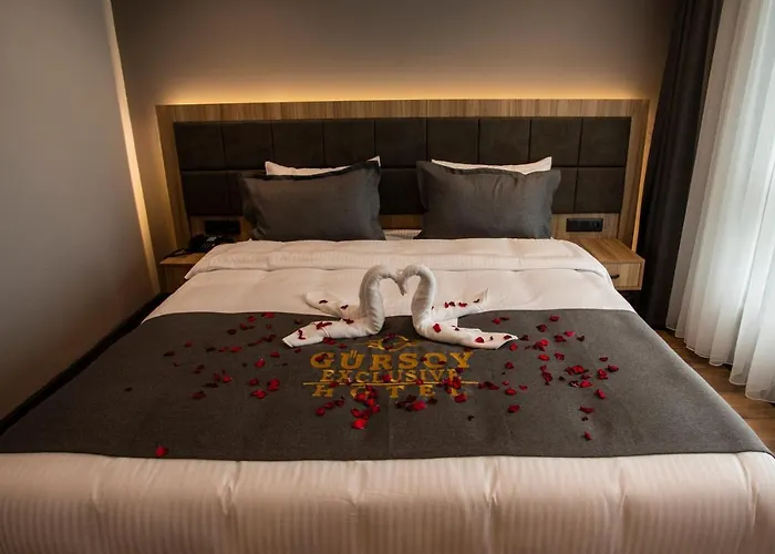 Guersoy Exclusive 3* ترابزون